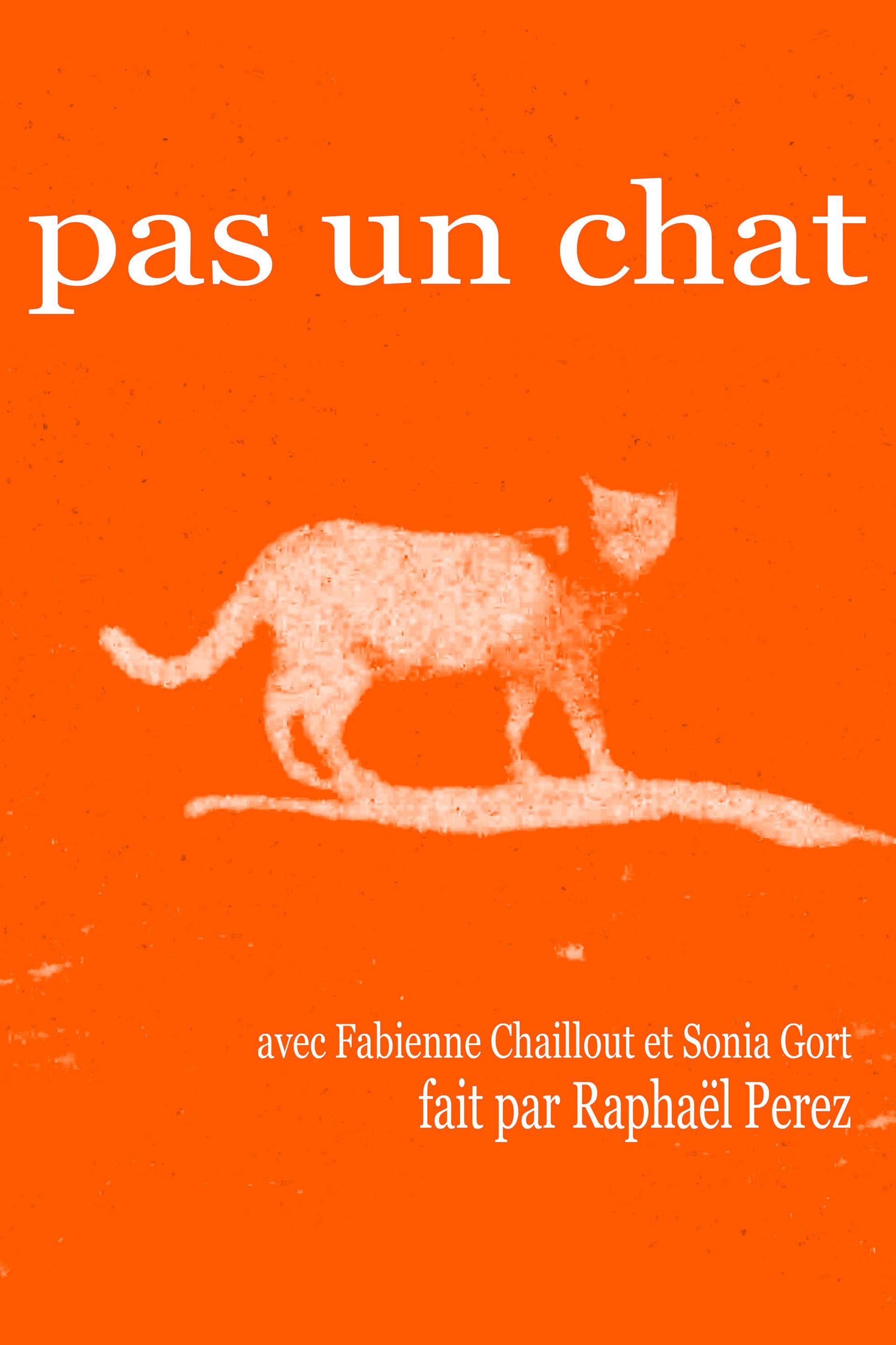 Pas un chat