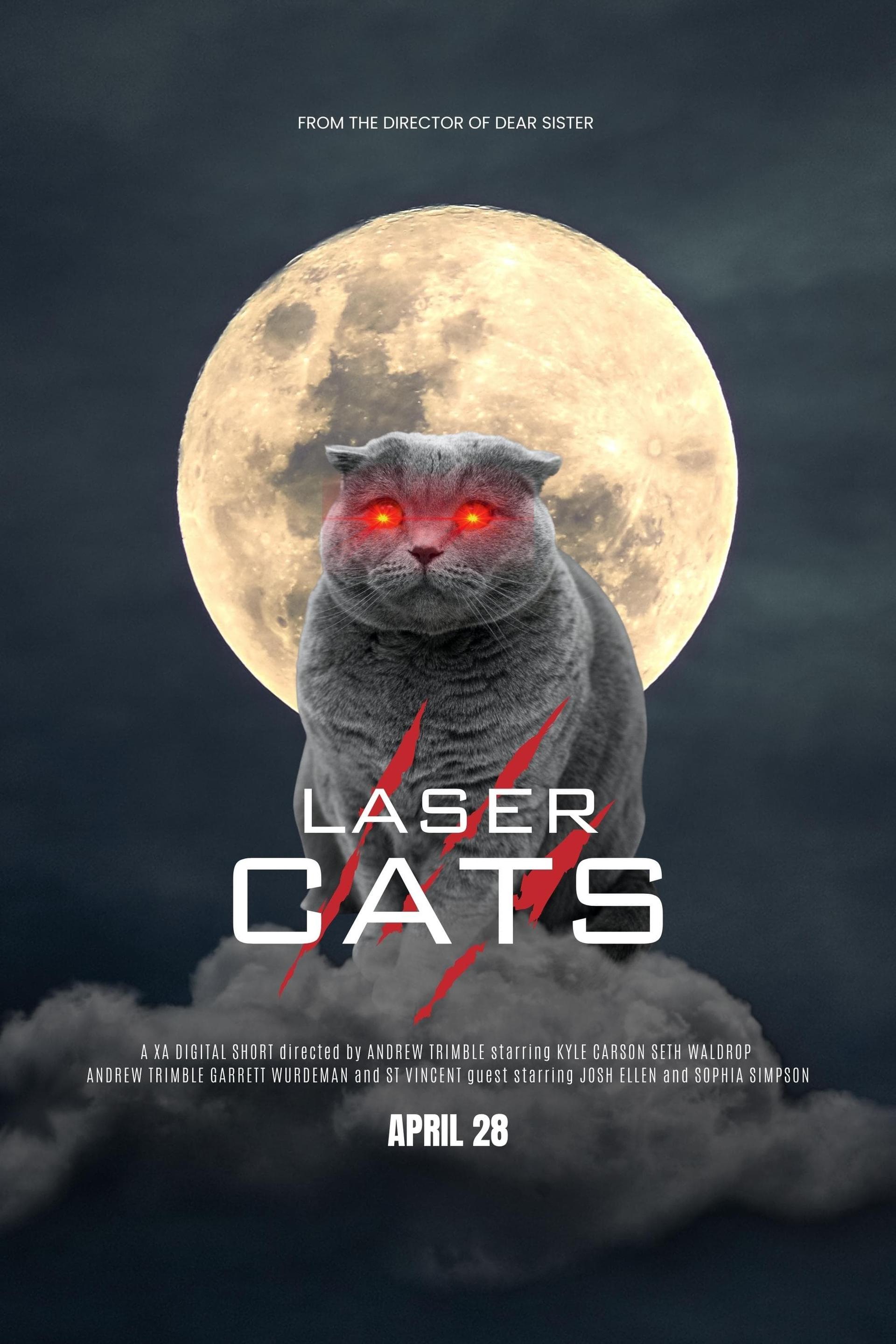 Laser Cats