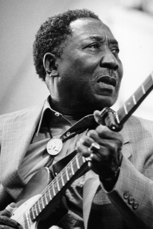 Muddy Waters