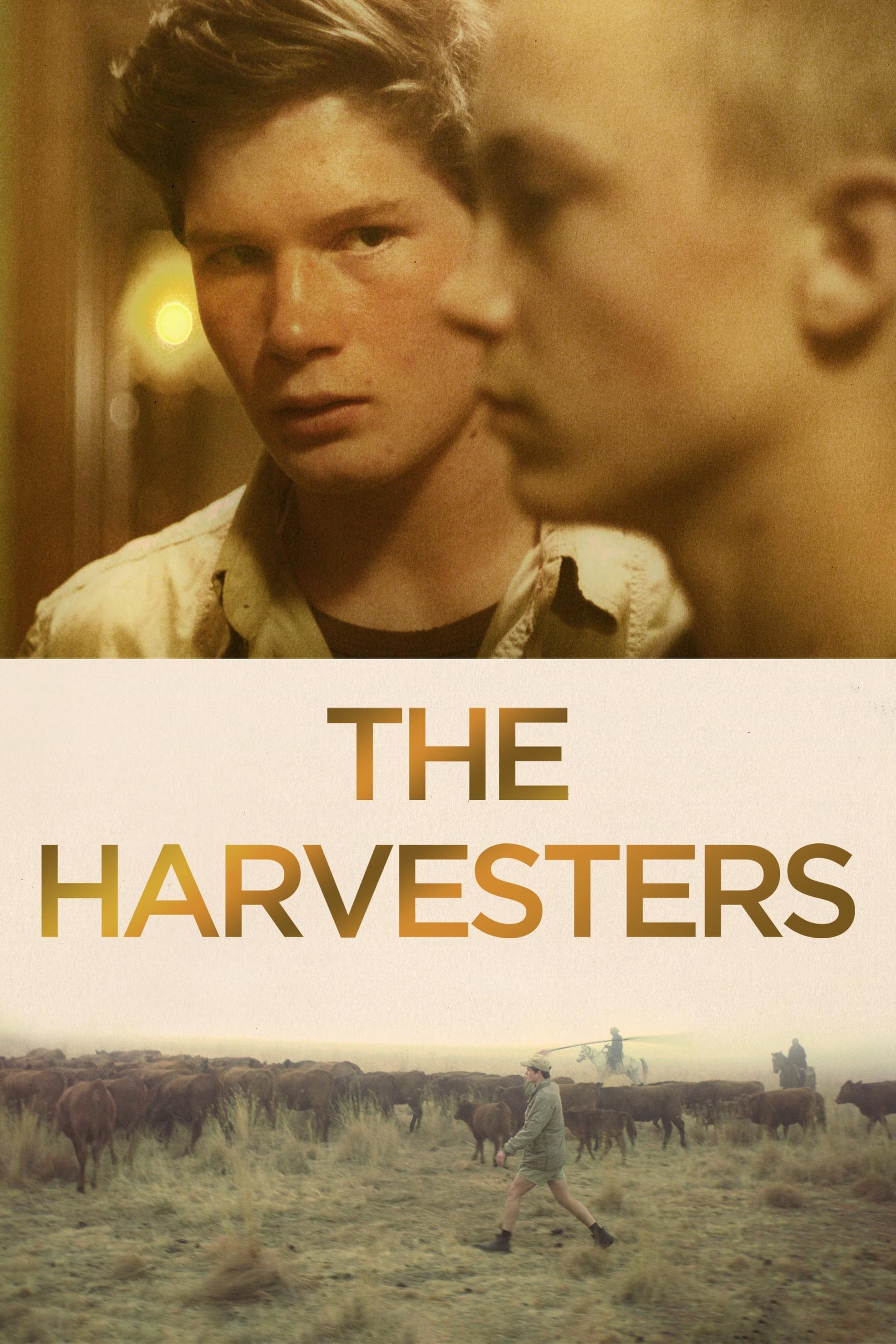 The Harvesters