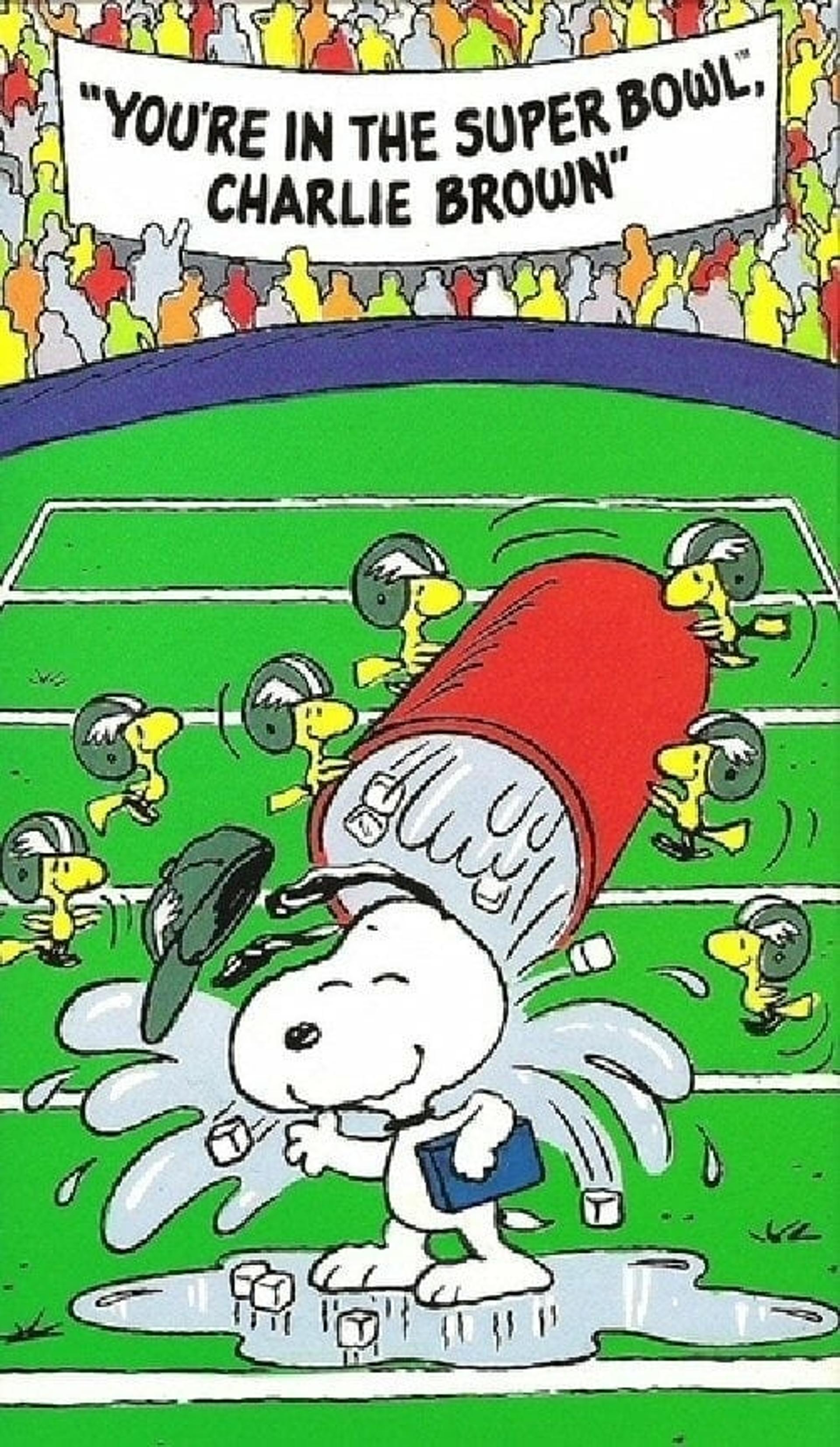 You're in the Super Bowl, Charlie Brown!