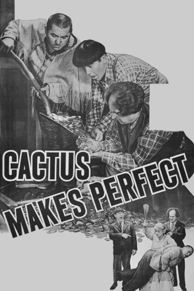 Cactus Makes Perfect