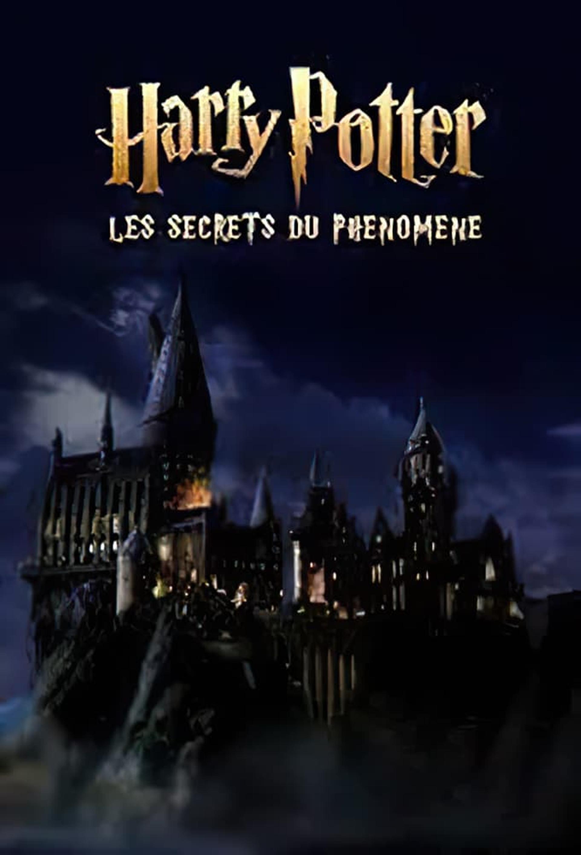 Harry Potter : les secrets du phénomène