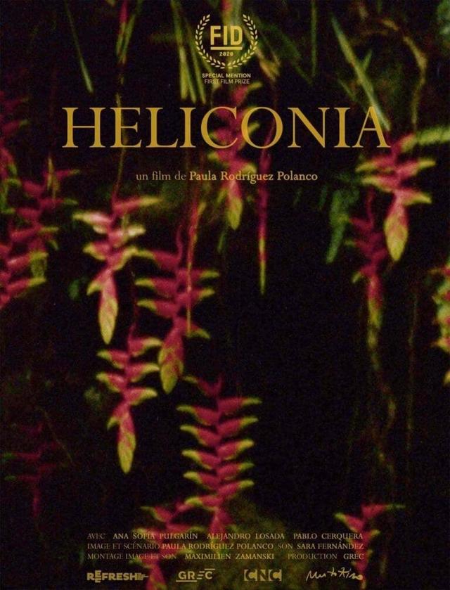 Heliconia