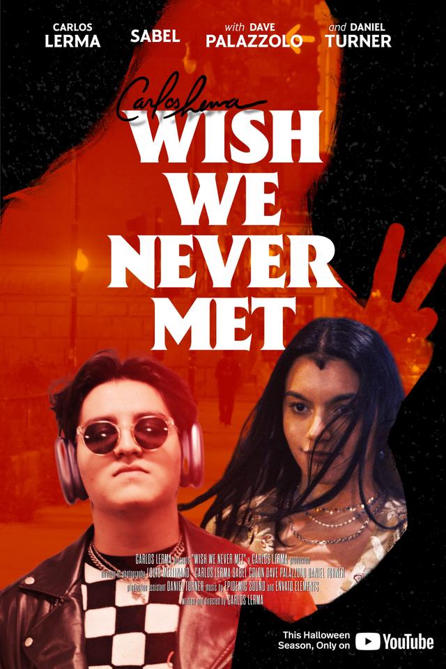 Wish We Never Met