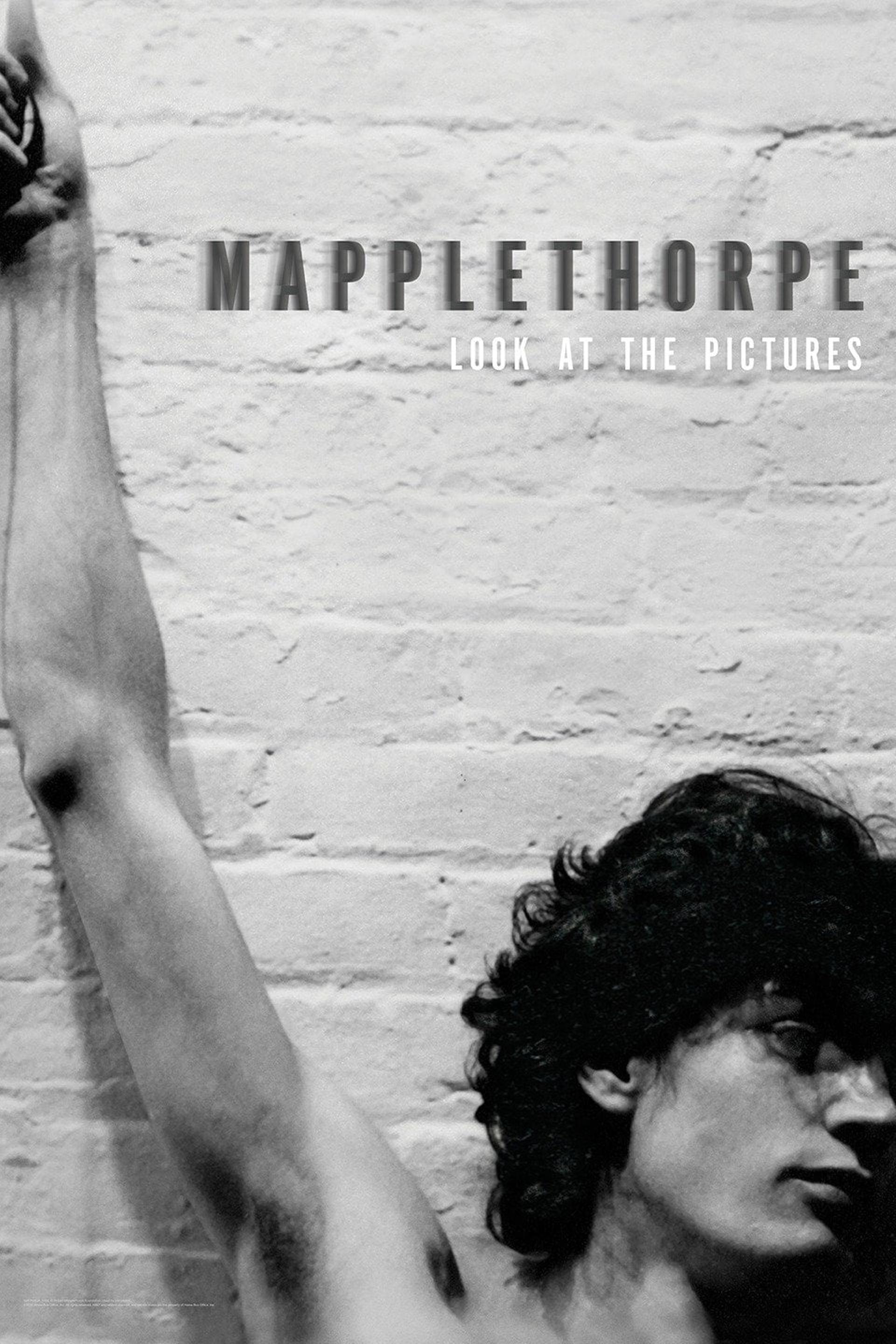 Mapplethorpe: Look at the Pictures