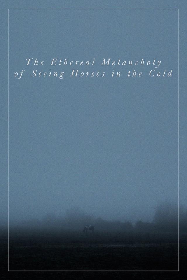 The Ethereal Melancholy of Seeing Horses in the Cold