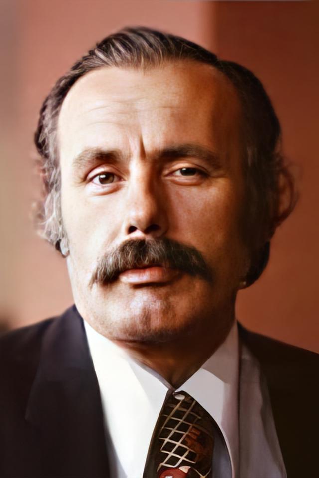 Özdemir Han