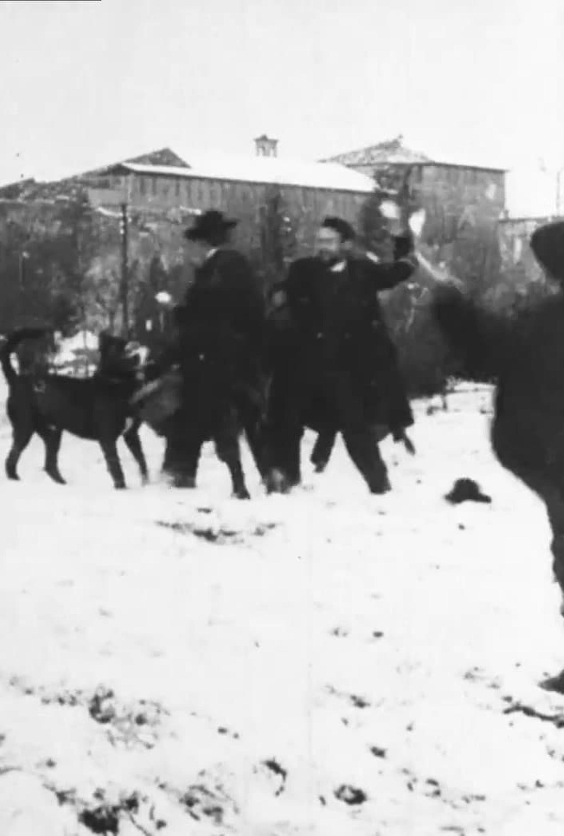 Snowball Fight