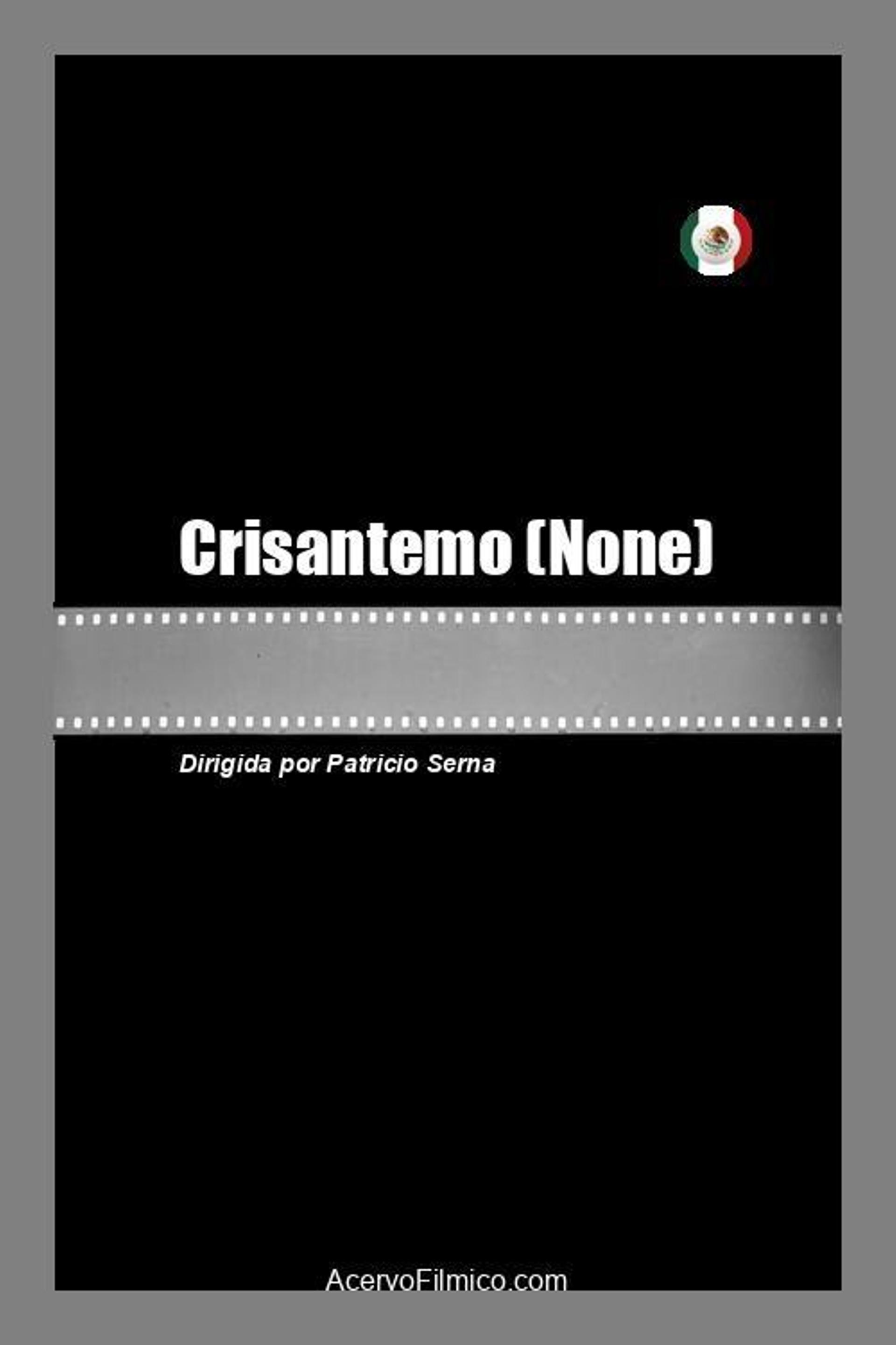 Crisantemo