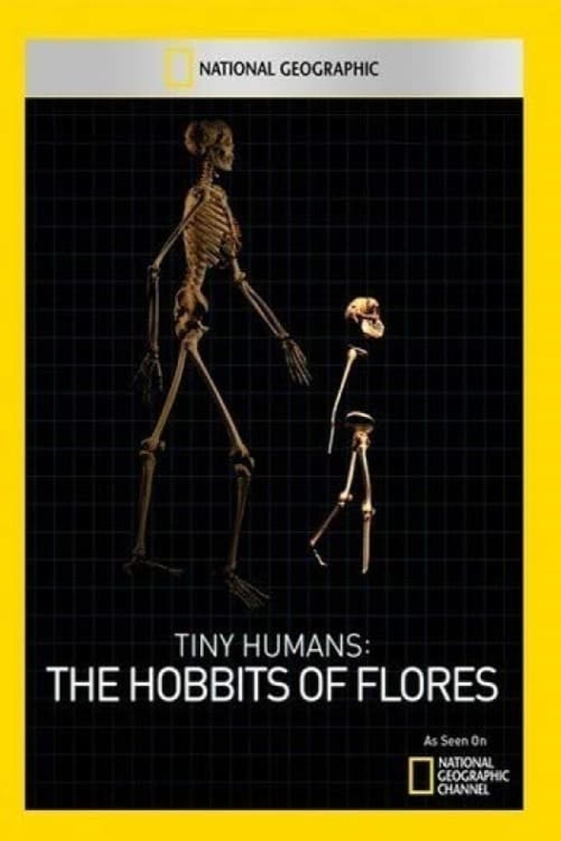 Tiny Humans: The Hobbit of Flores