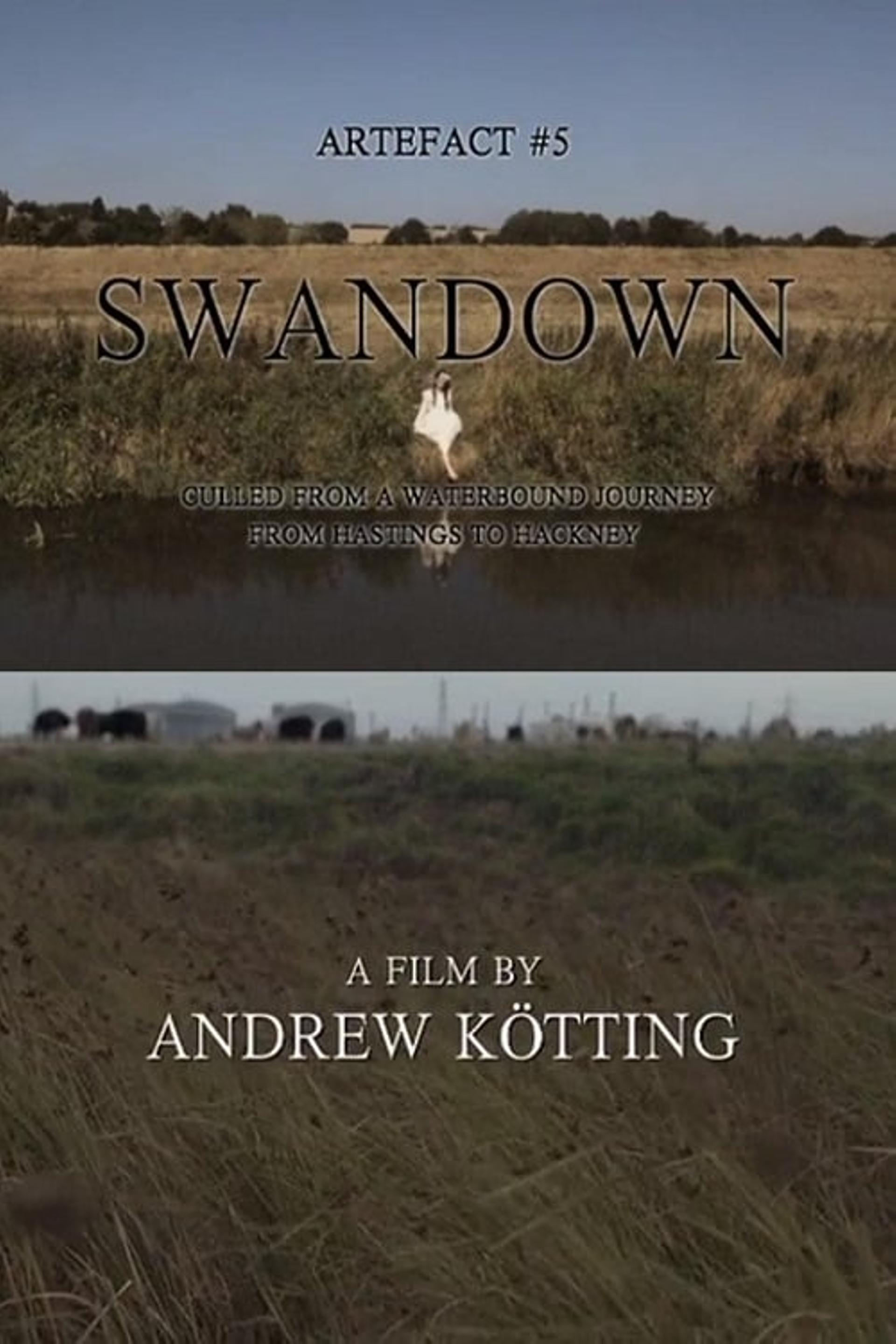 Artefact #5: Swandown – Culled from a Waterbound Journey from Hastings to Hackney