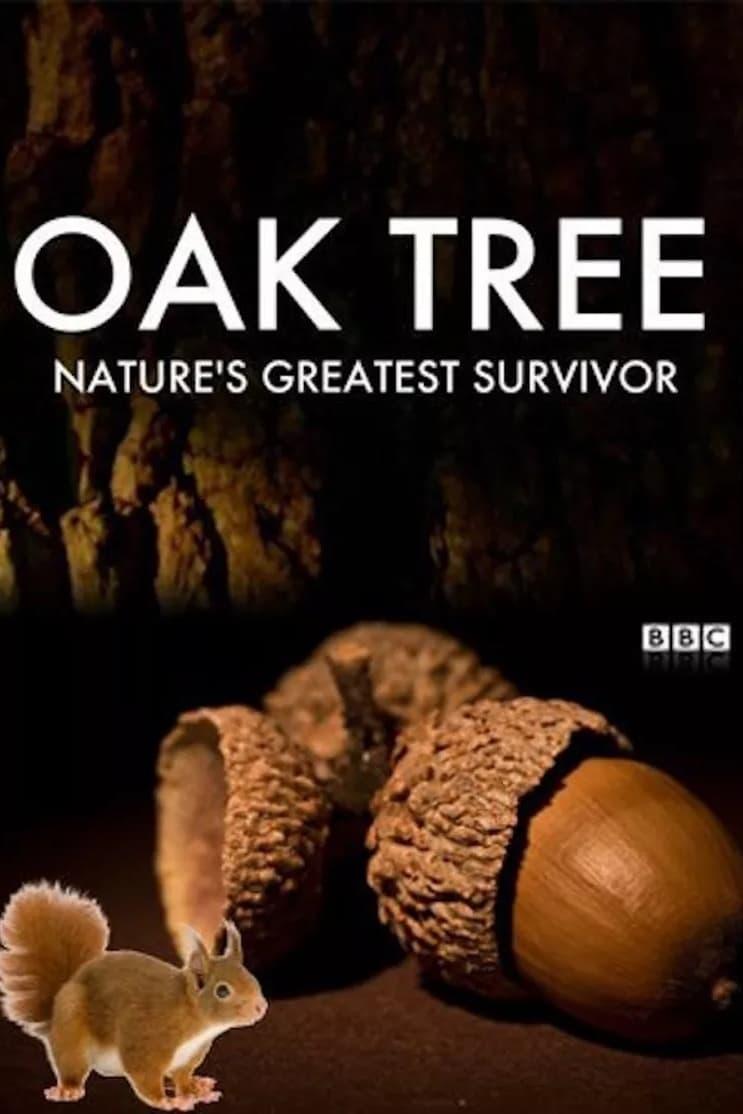 Oak Tree: Nature's Greatest Survivor