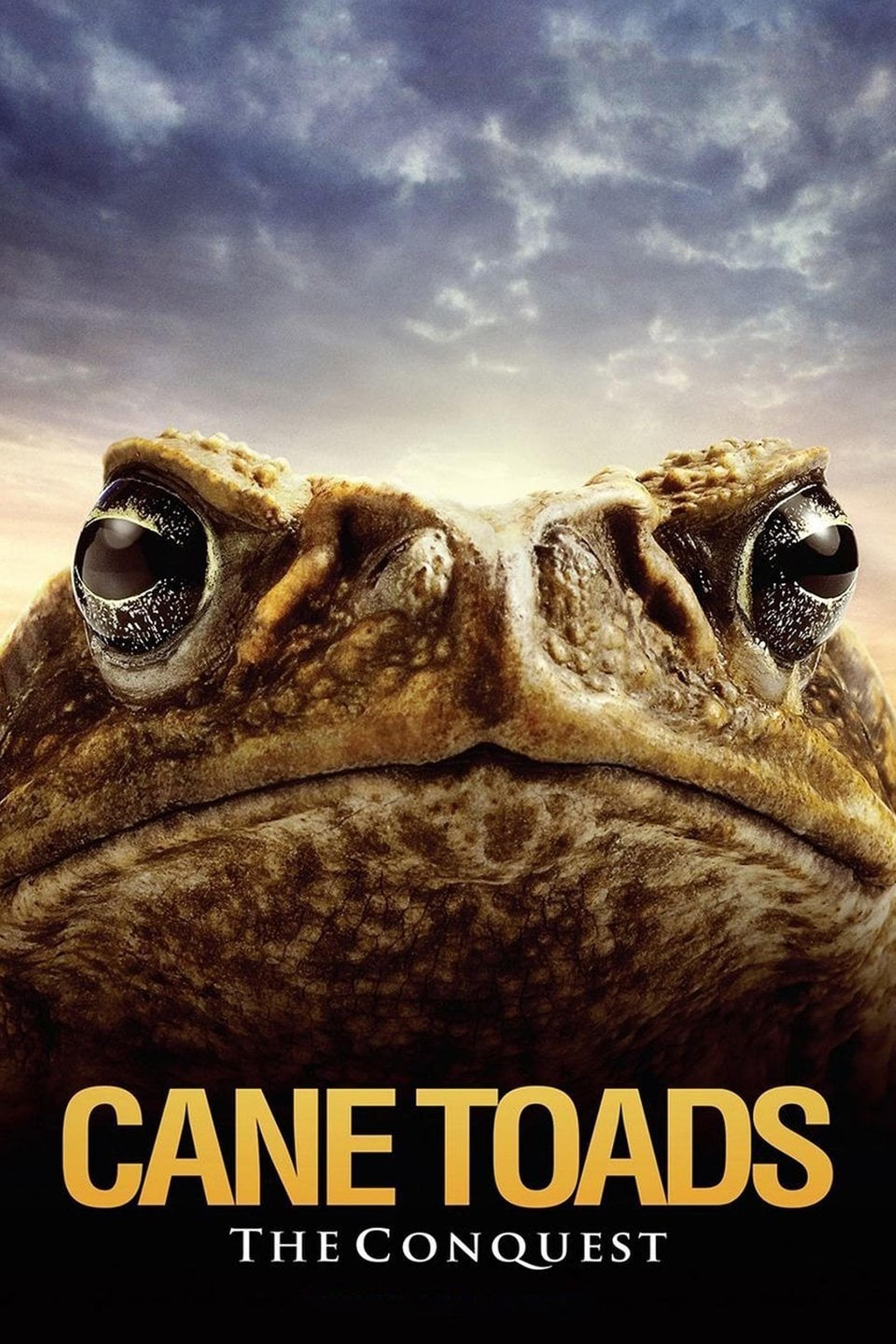 Cane Toads: The Conquest