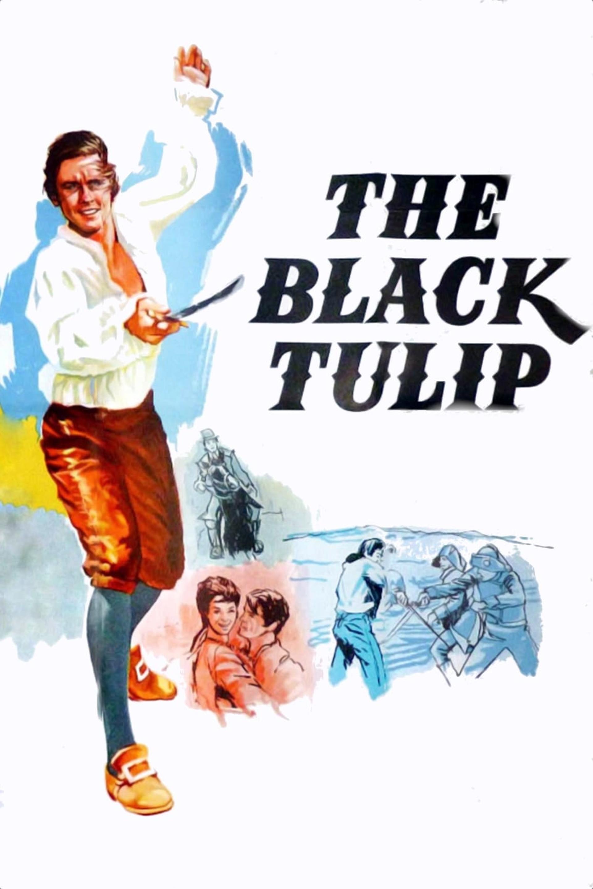 The Black Tulip