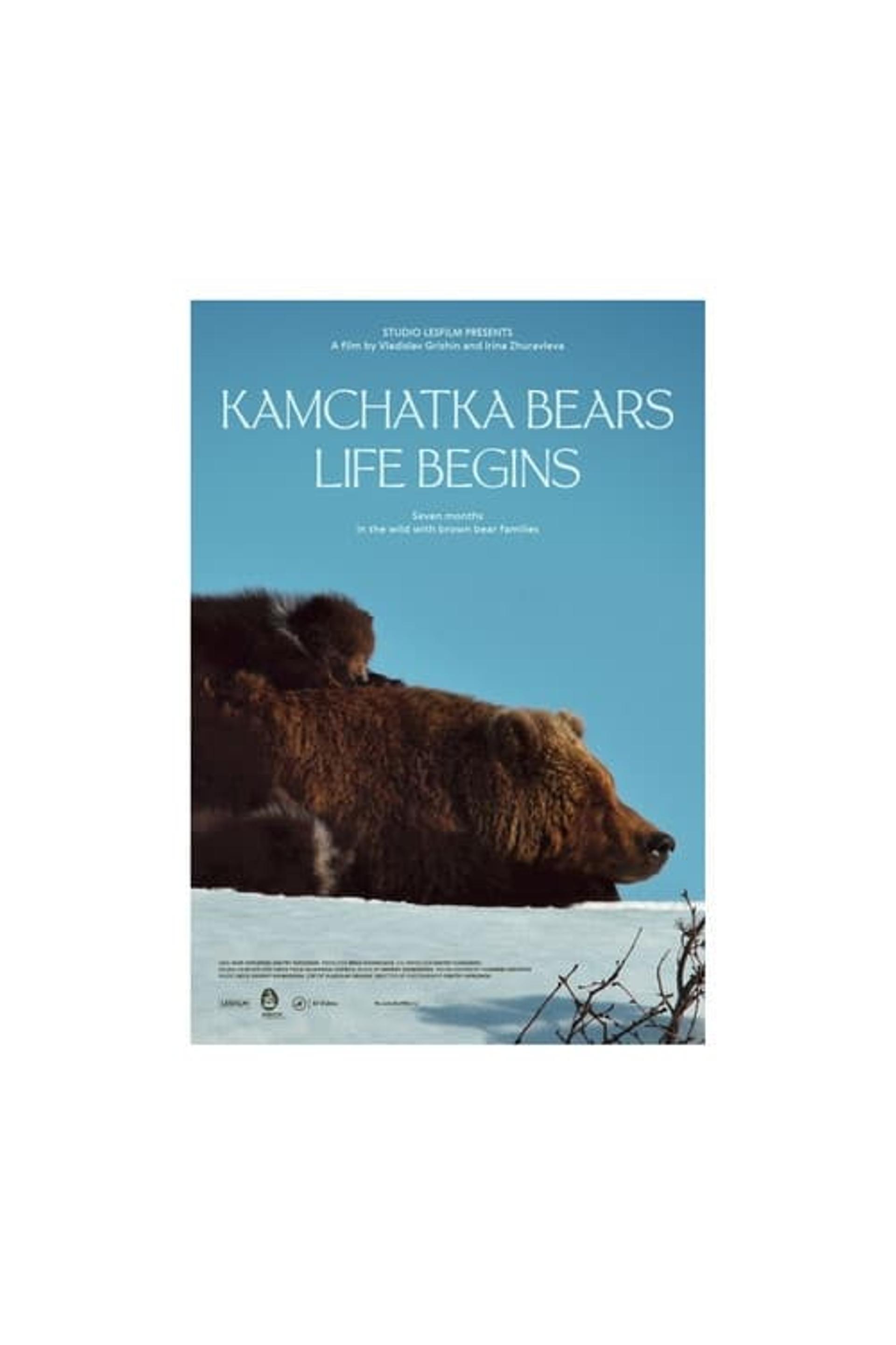 Kamchatka Bears. Life Begins