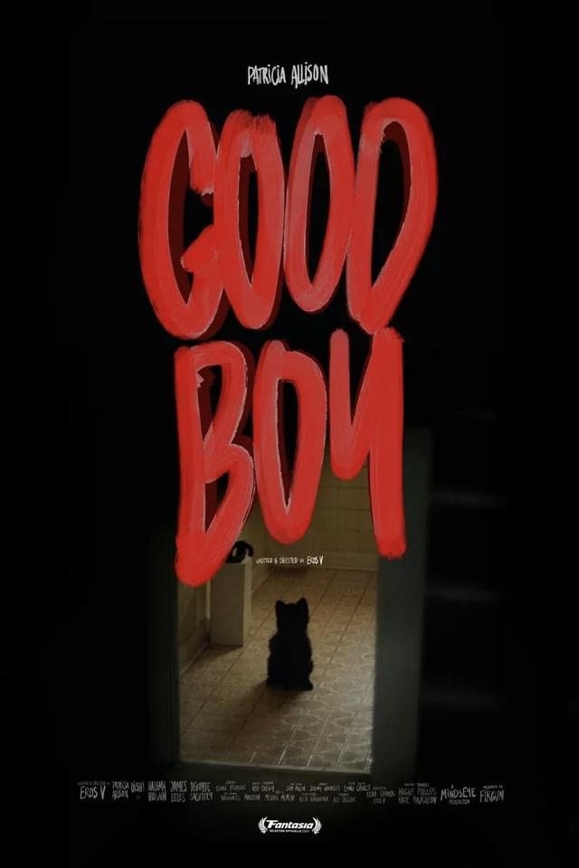 Good Boy