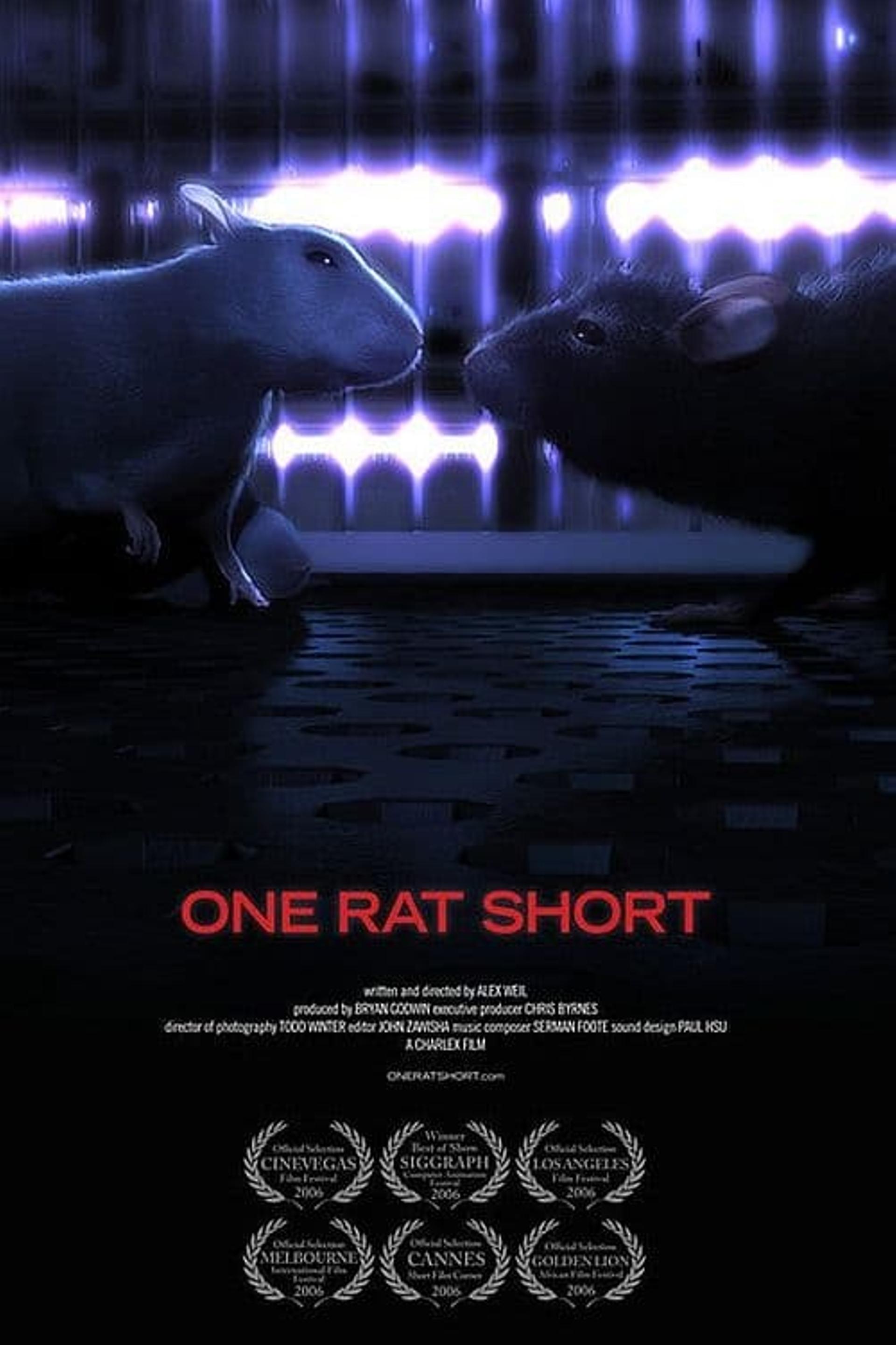 One Rat short