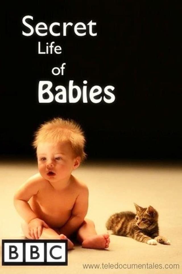 Secret Life of Babies