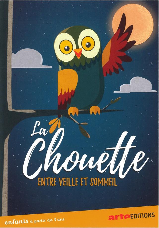 La chouette du cinema, entre veille et sommeil