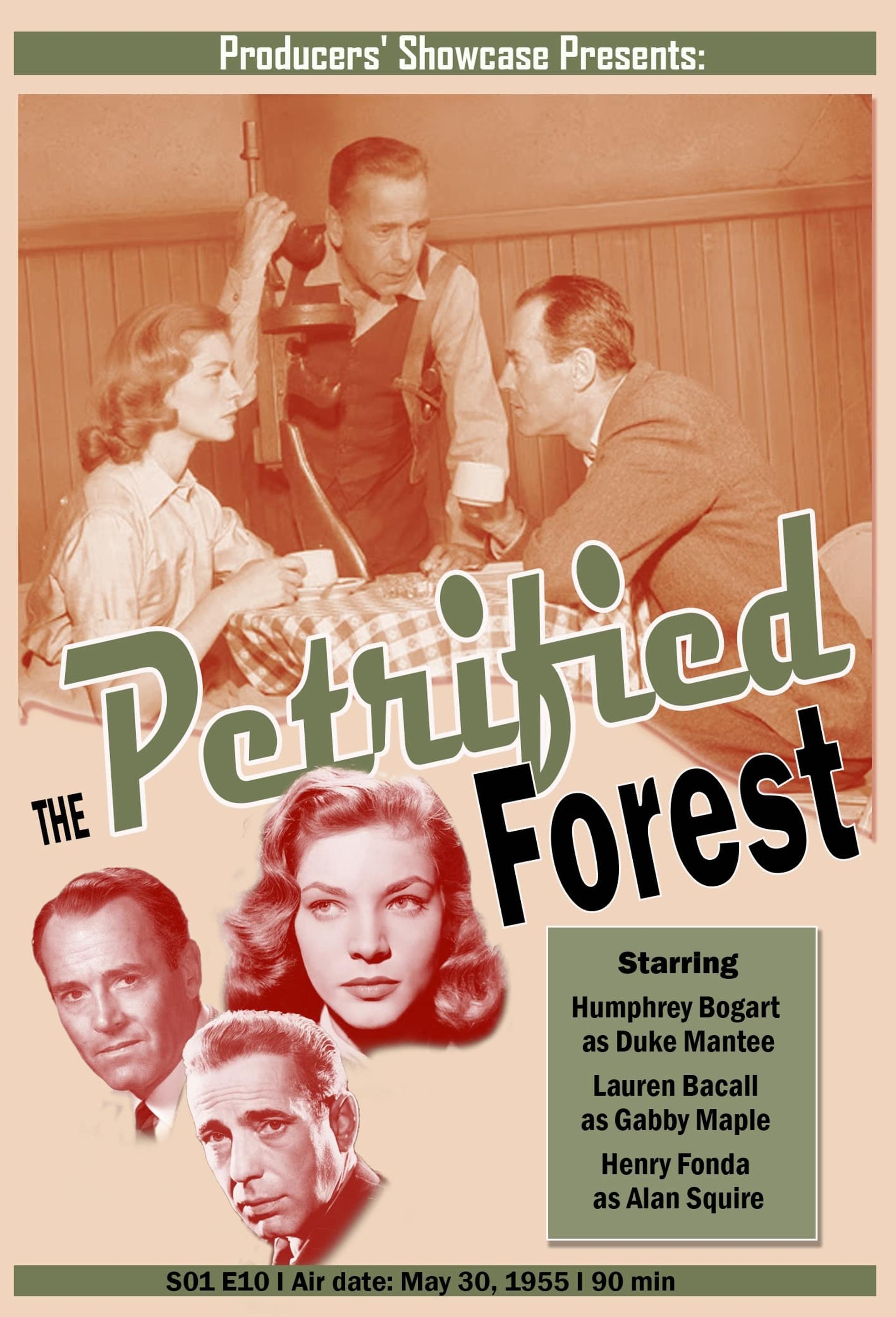 The Petrified Forest