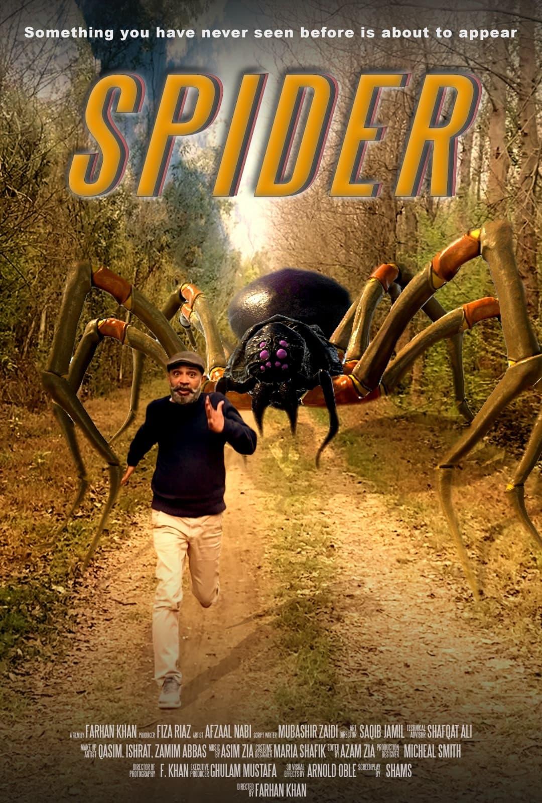 Spider