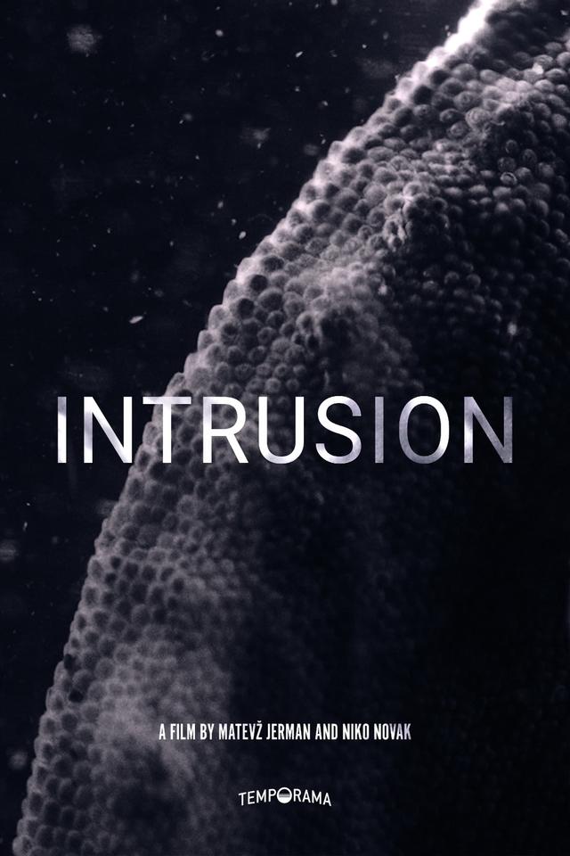 Intrusion