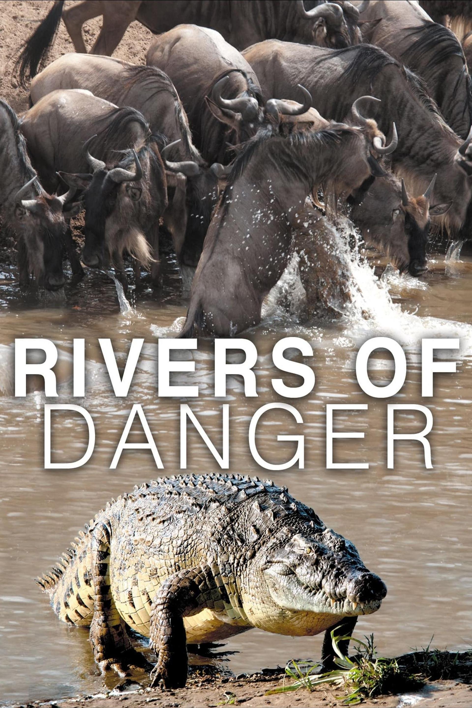 Rivers of Danger