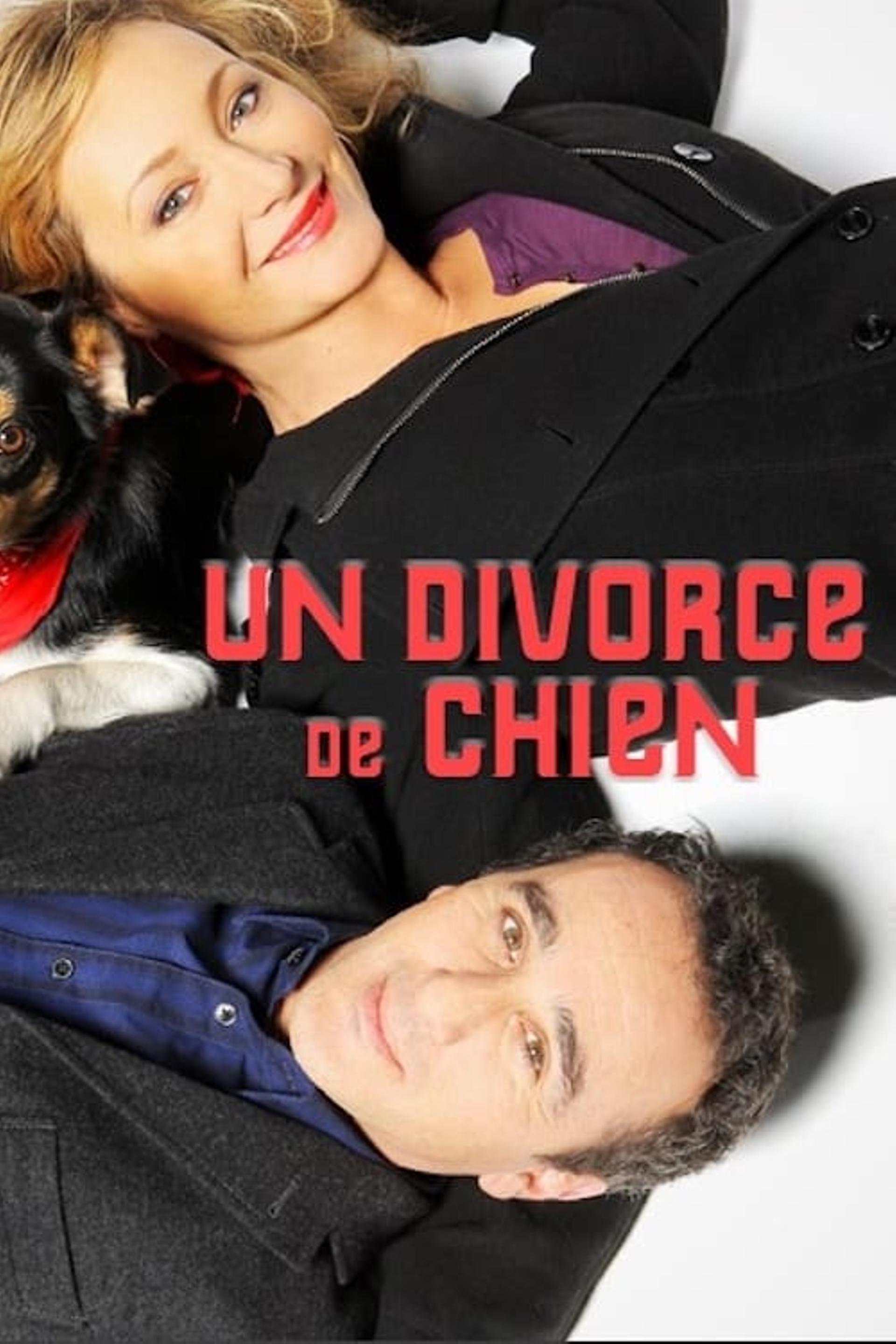 Un divorce de chien