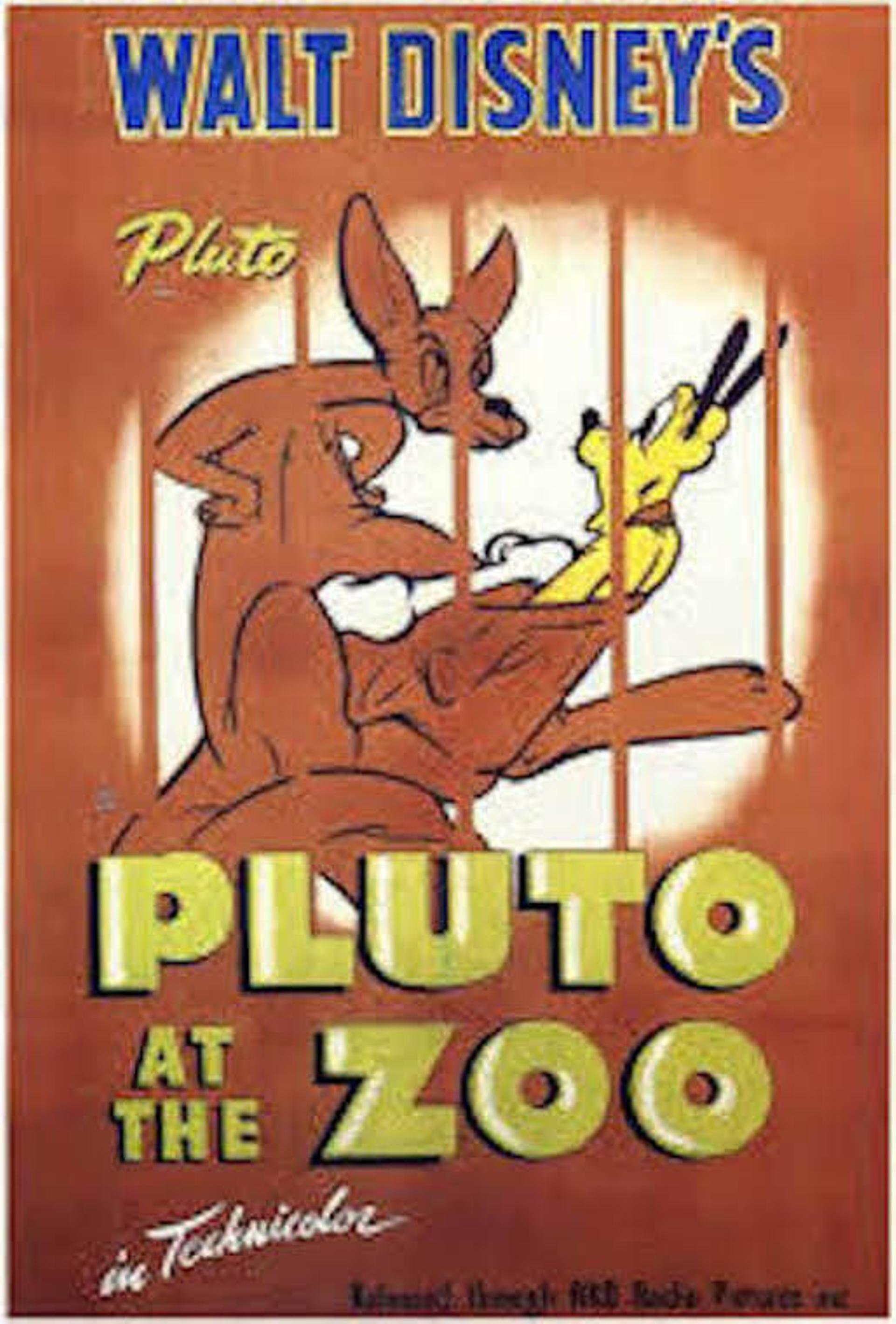 Pluto at the Zoo