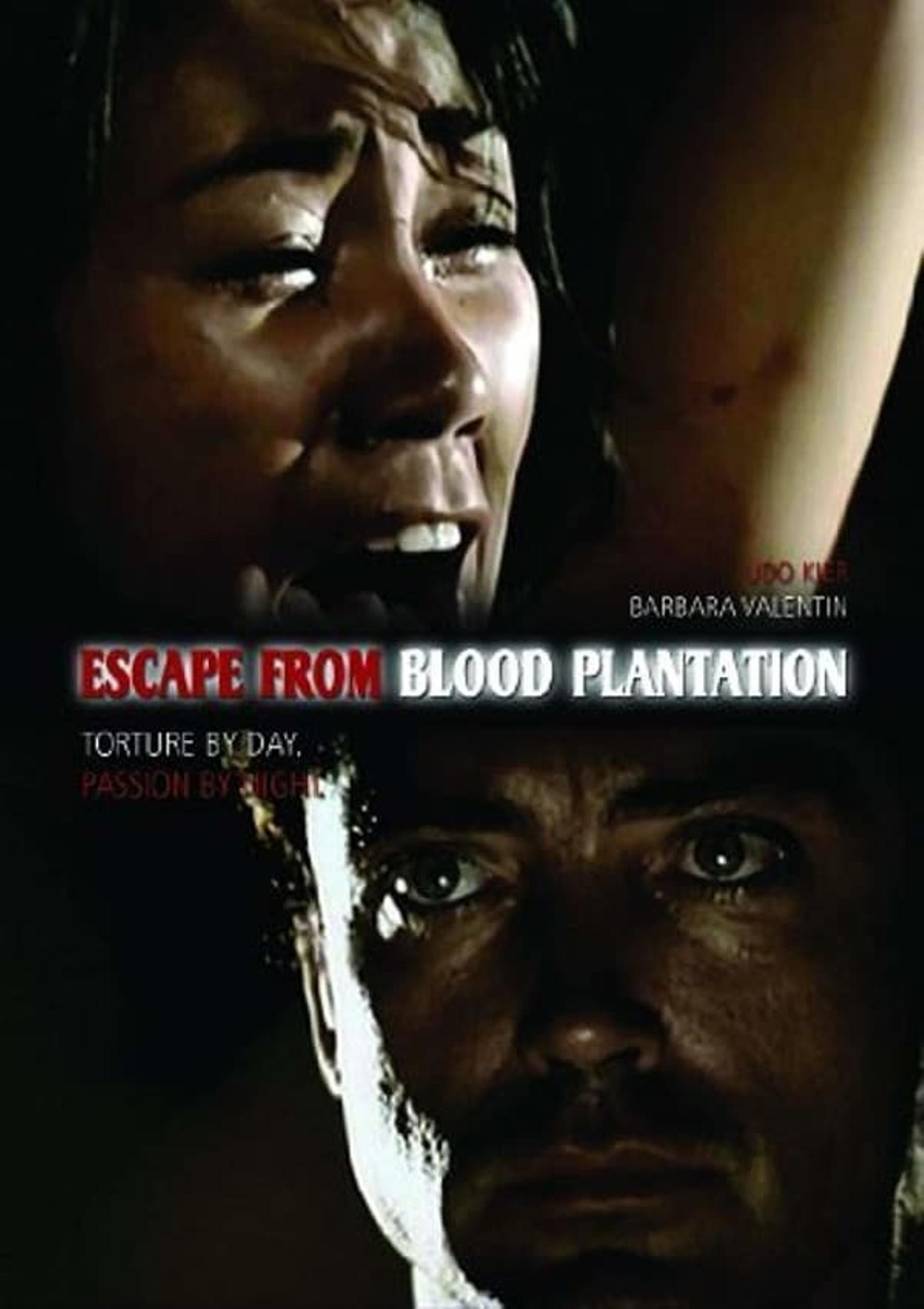 The Island of the Bloody Plantation