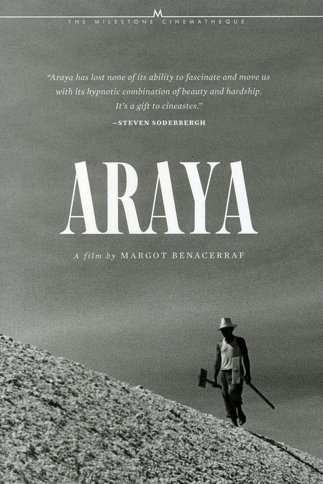 Araya