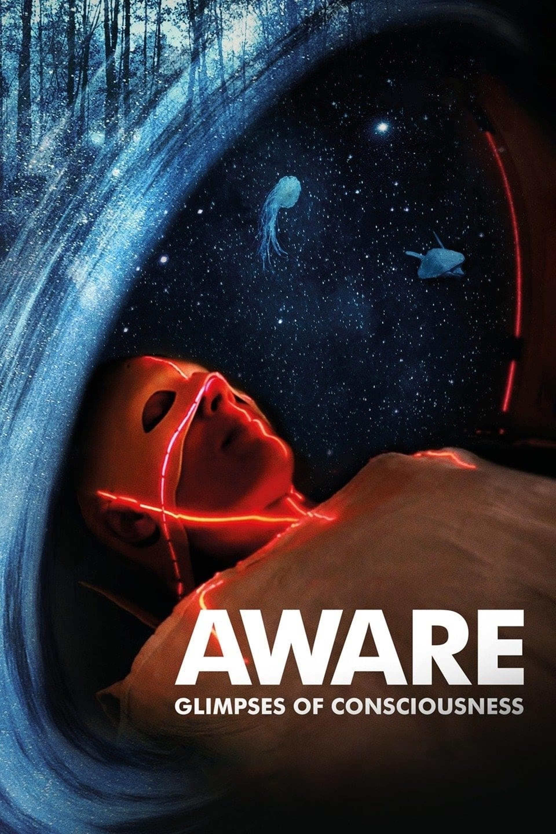 Aware: Glimpses of Consciousness