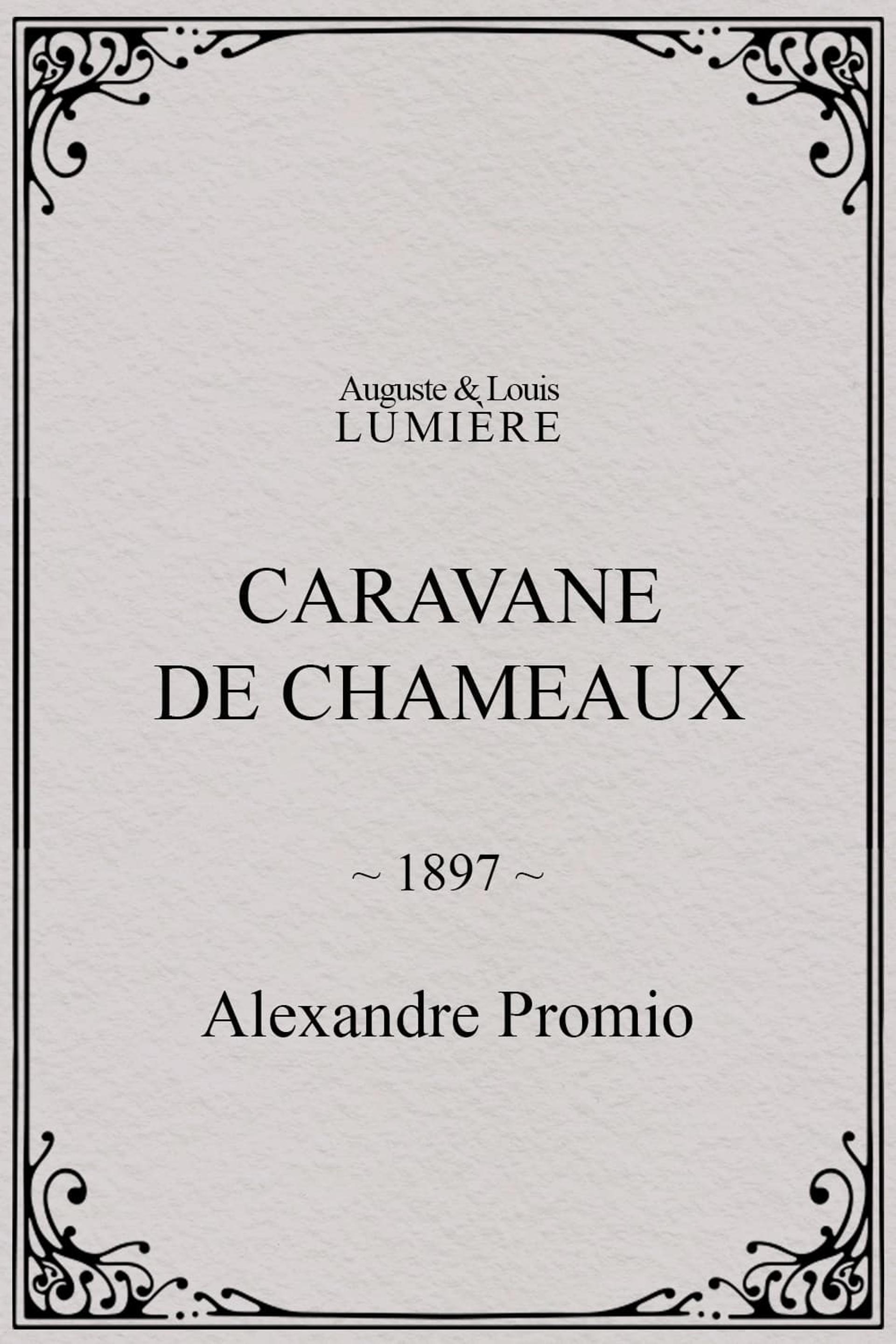 Caravane de chameaux