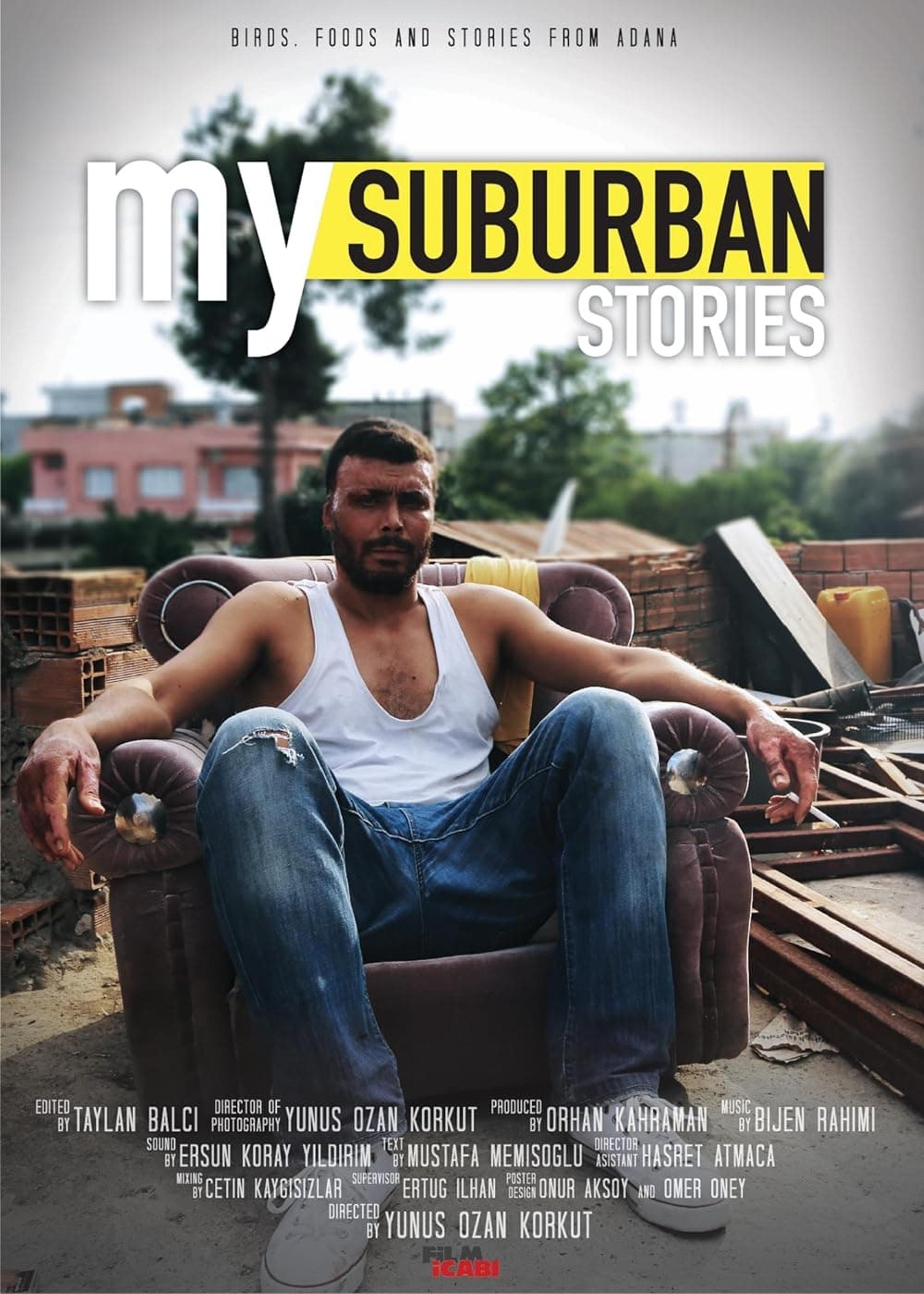 My Suburban Stories