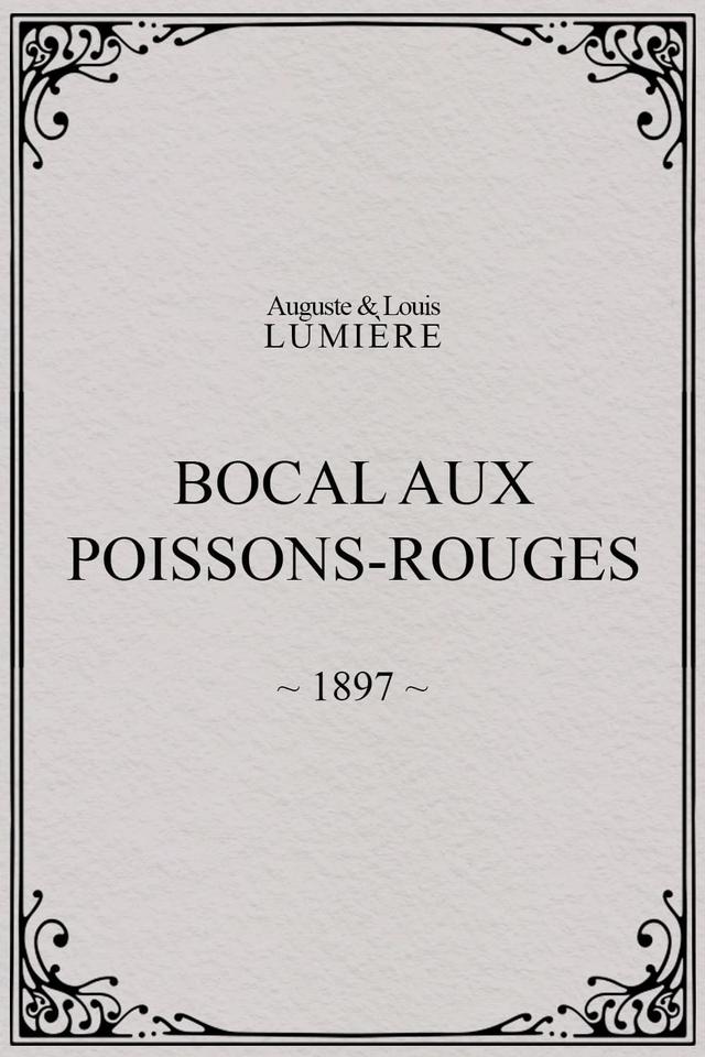 Bocal aux poissons rouges