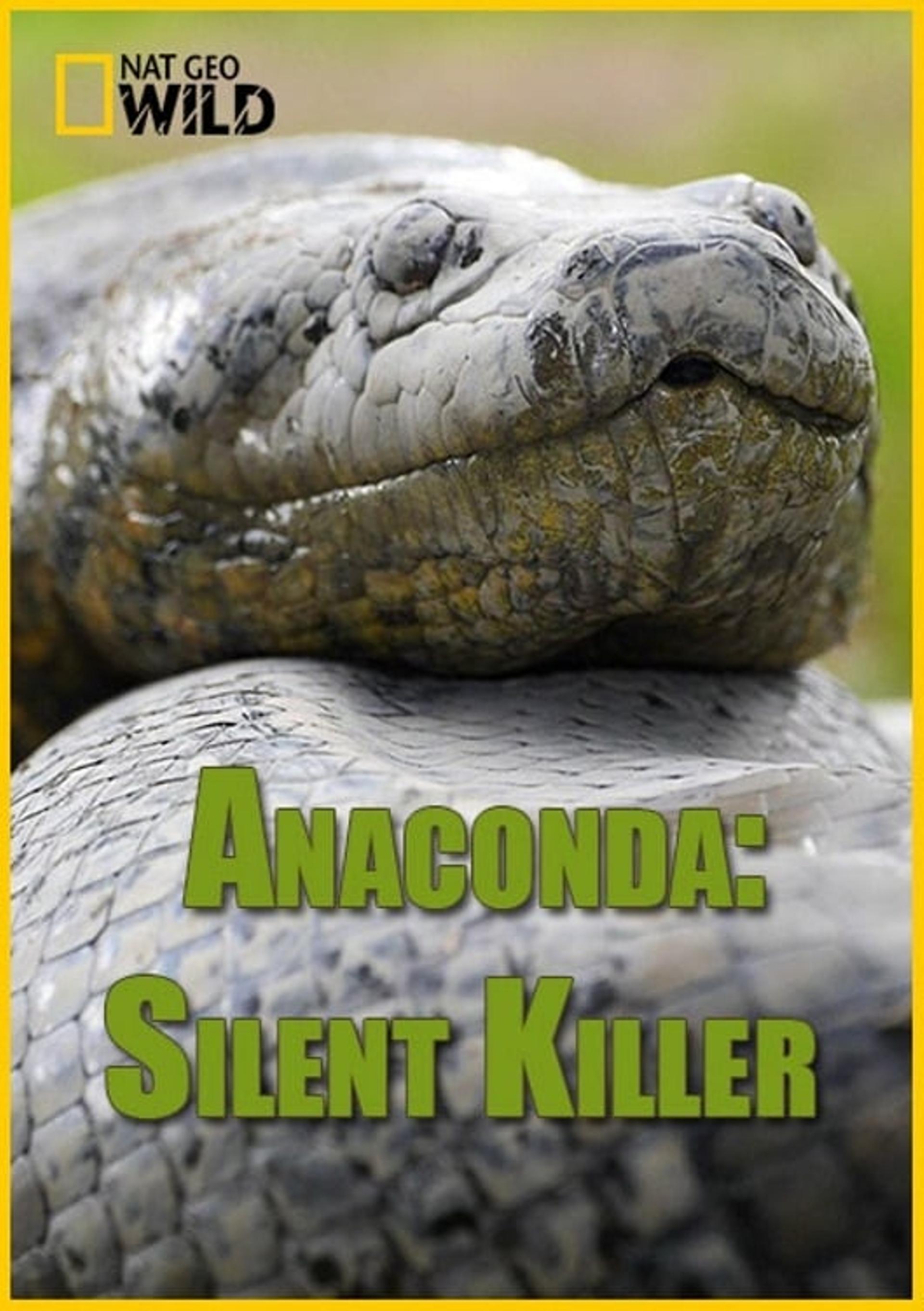 Anaconda: Silent Killer