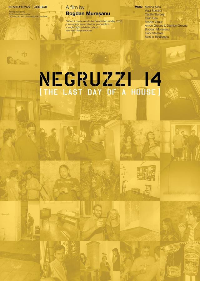 Negruzzi 14