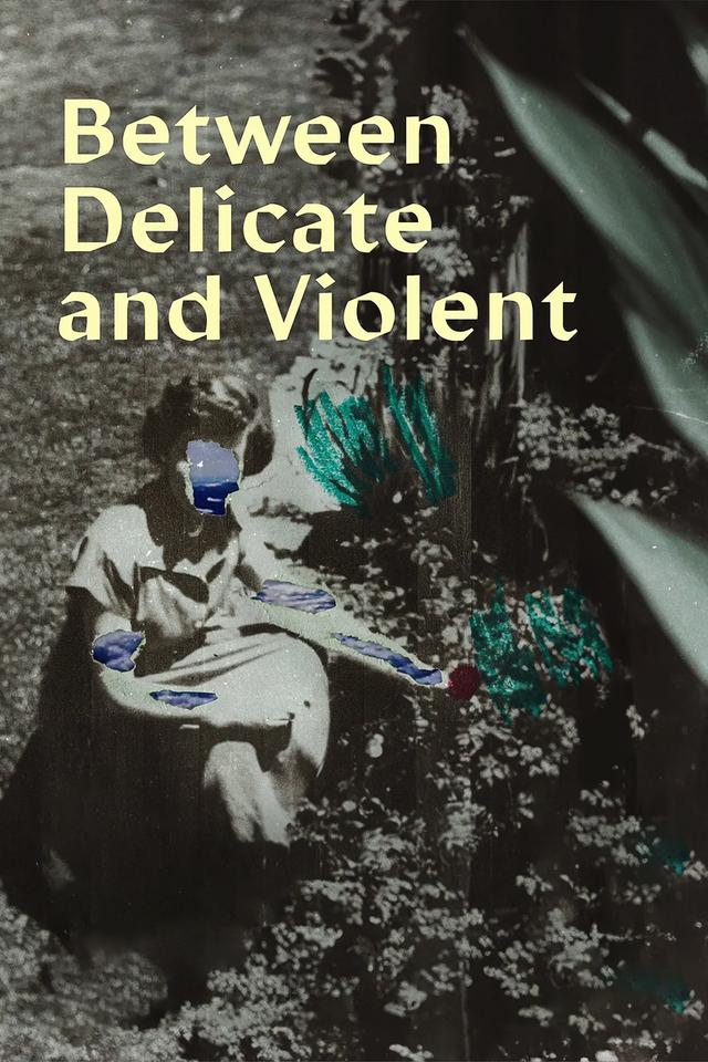 Between Delicate and Violent