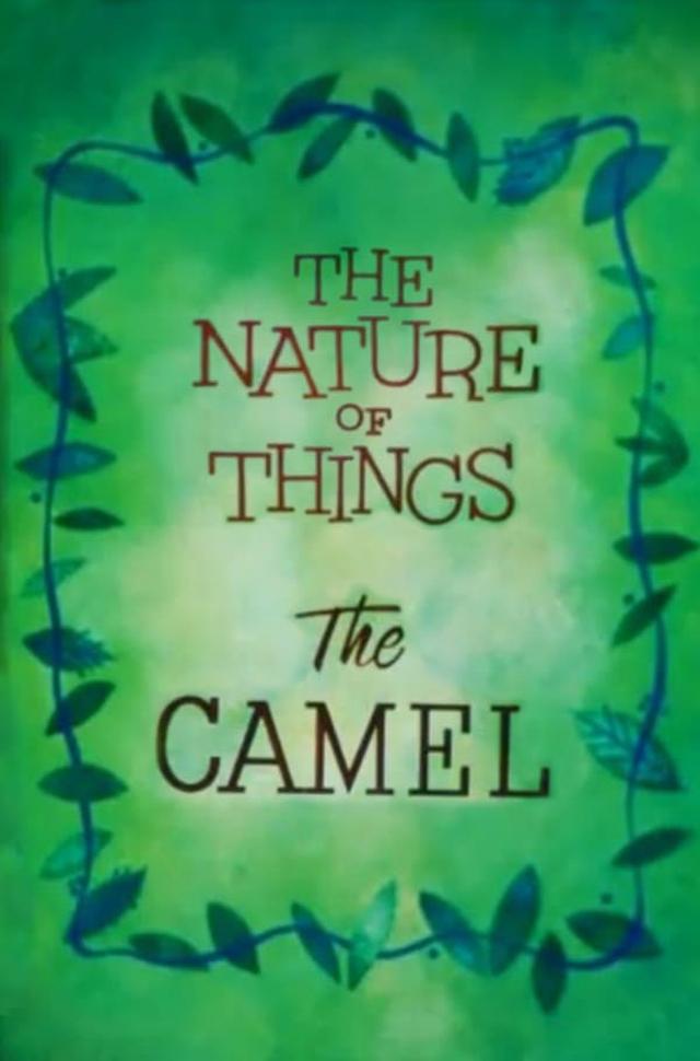 The Nature of Things: The Camel