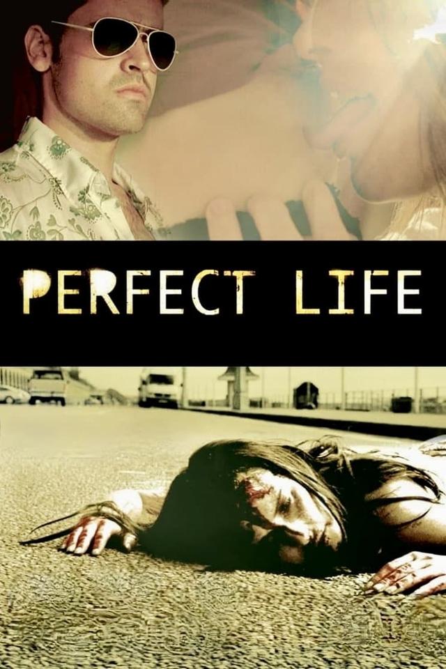 Perfect Life