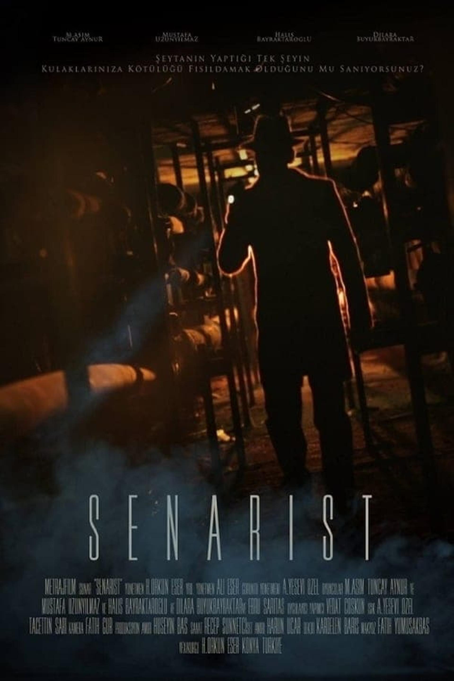 Senarist