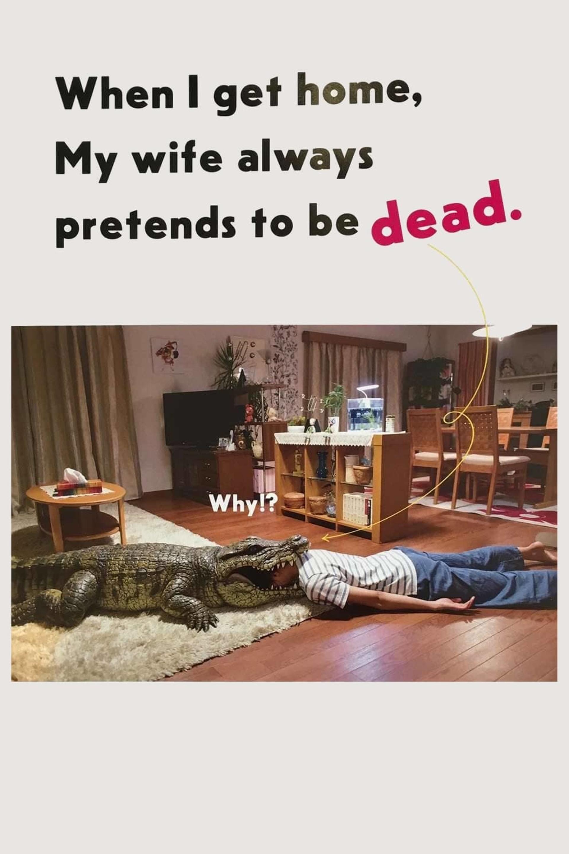 When I Get Home, My Wife Always Pretends to be Dead