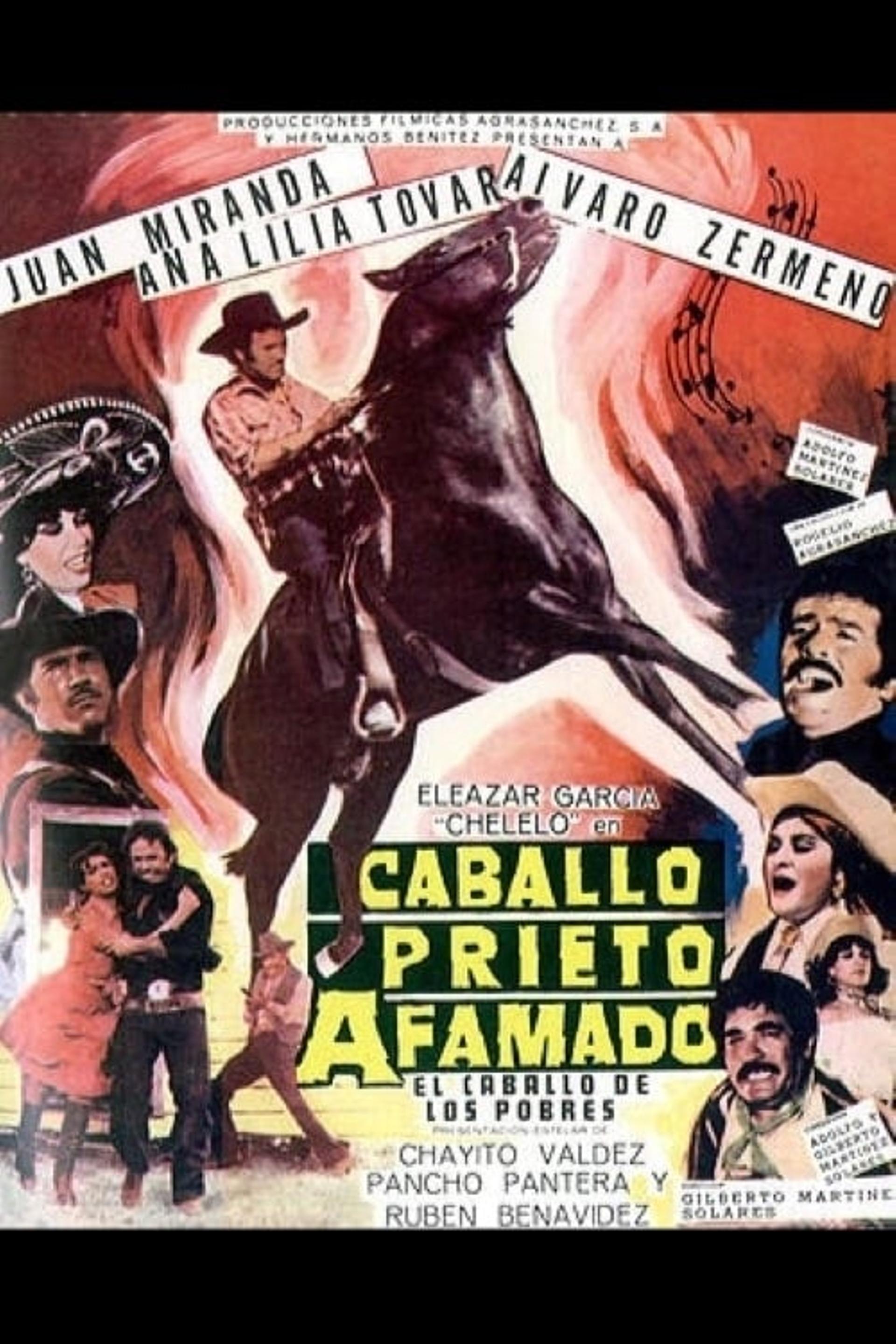 Caballo prieto afamado