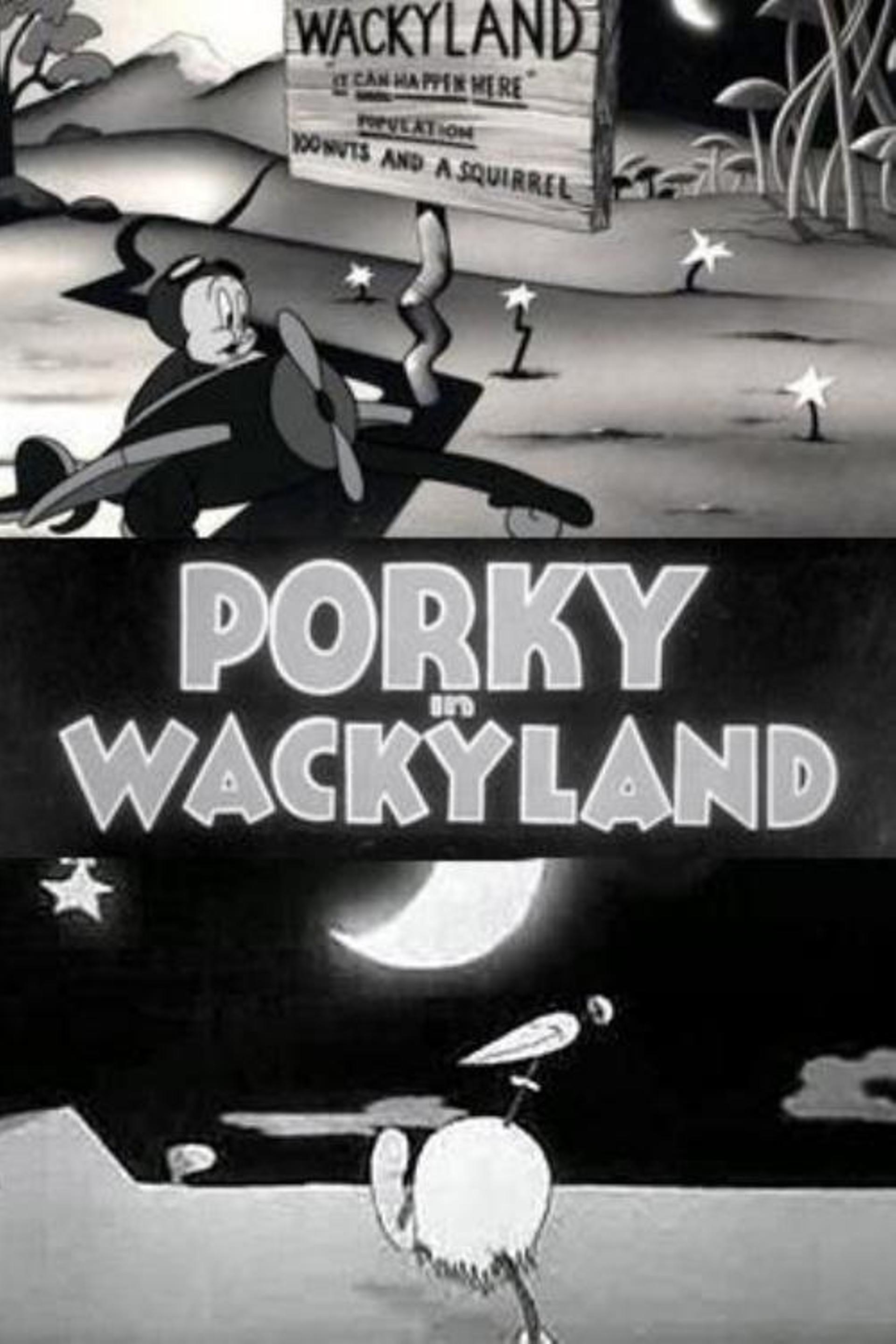 Porky in Wackyland