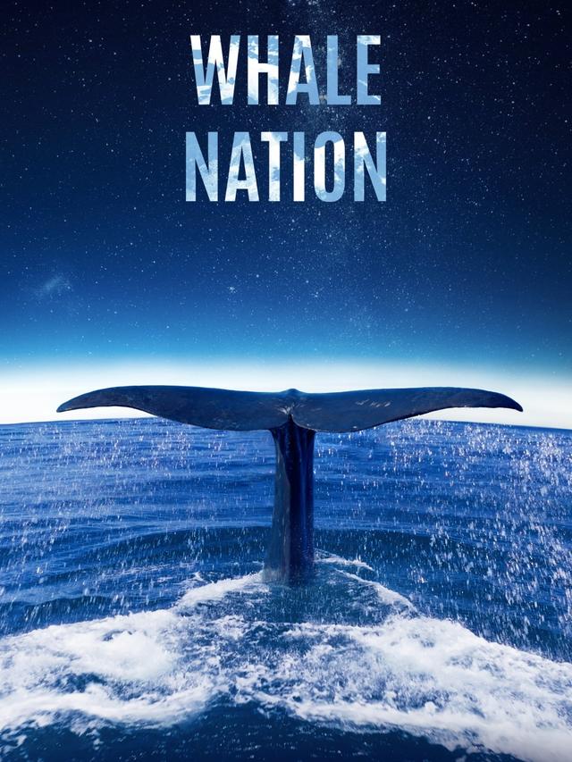 Whale Nation