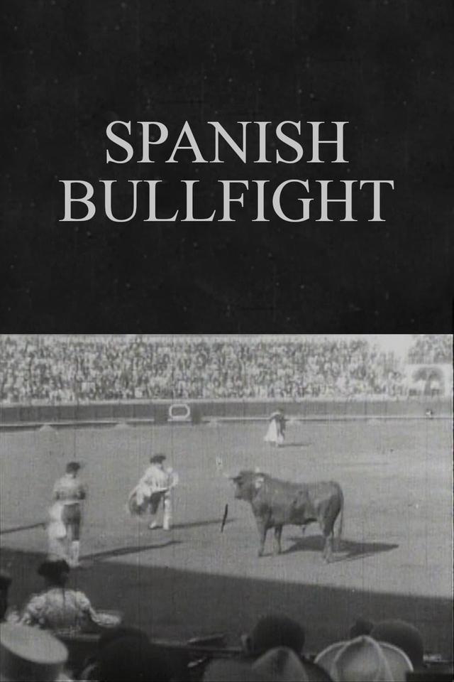 Spanish Bullfight