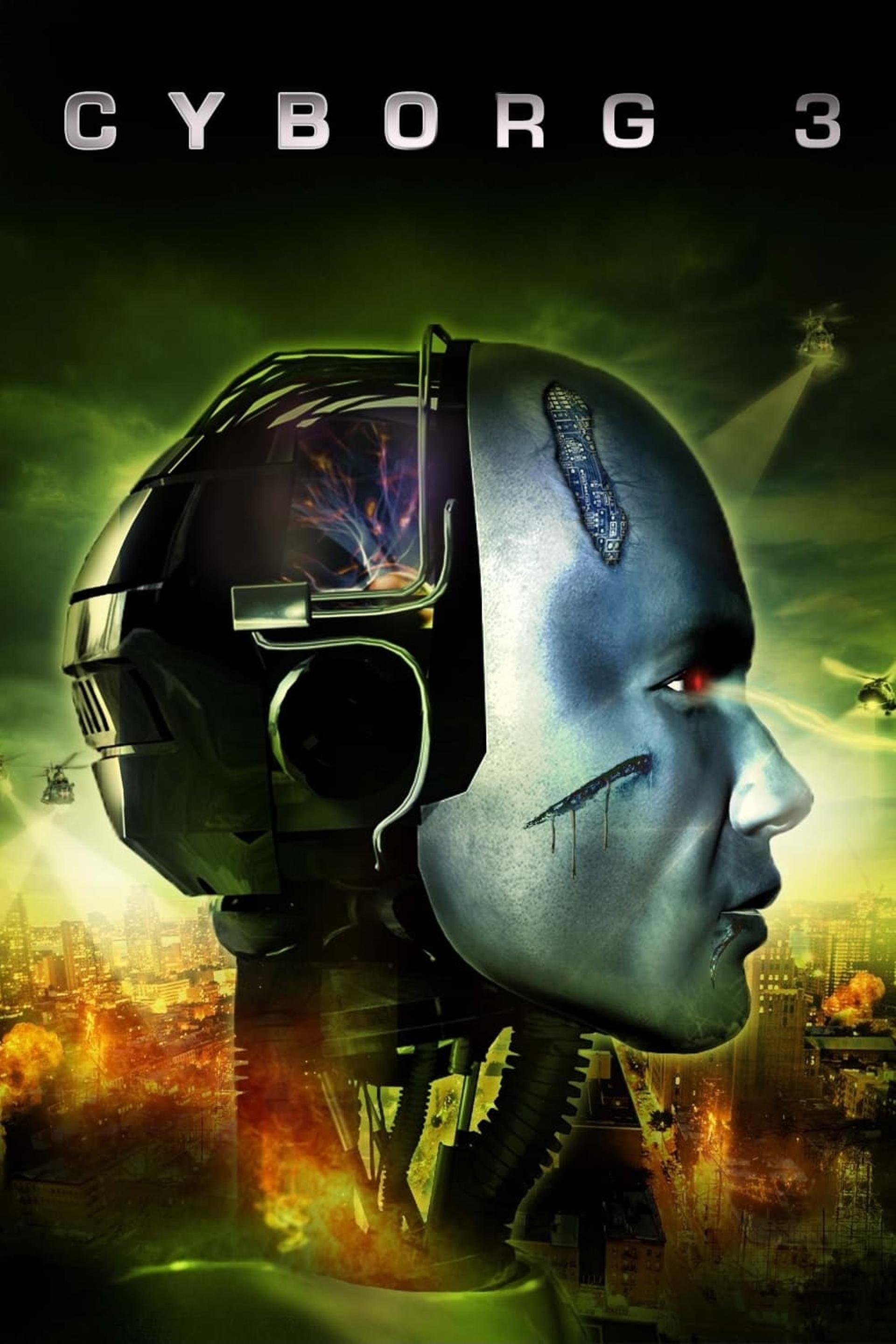 Cyborg 3: The Recycler