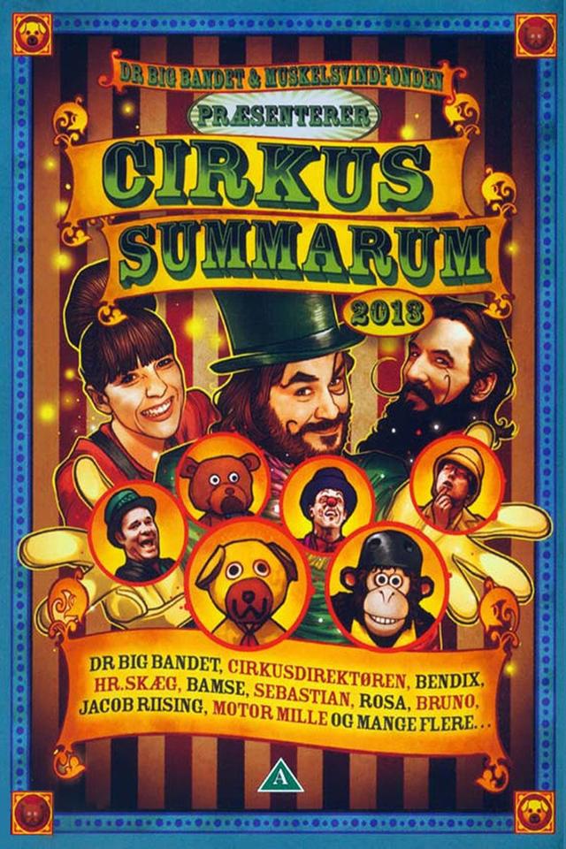 Cirkus Summarum 2013