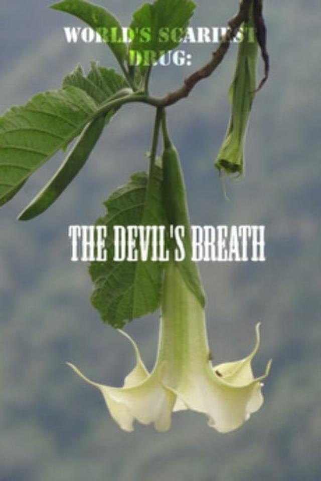 World's Scariest Drug: The Devil's Breath